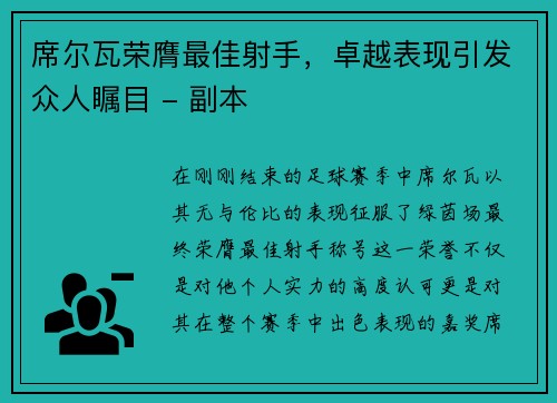 席尔瓦荣膺最佳射手，卓越表现引发众人瞩目 - 副本